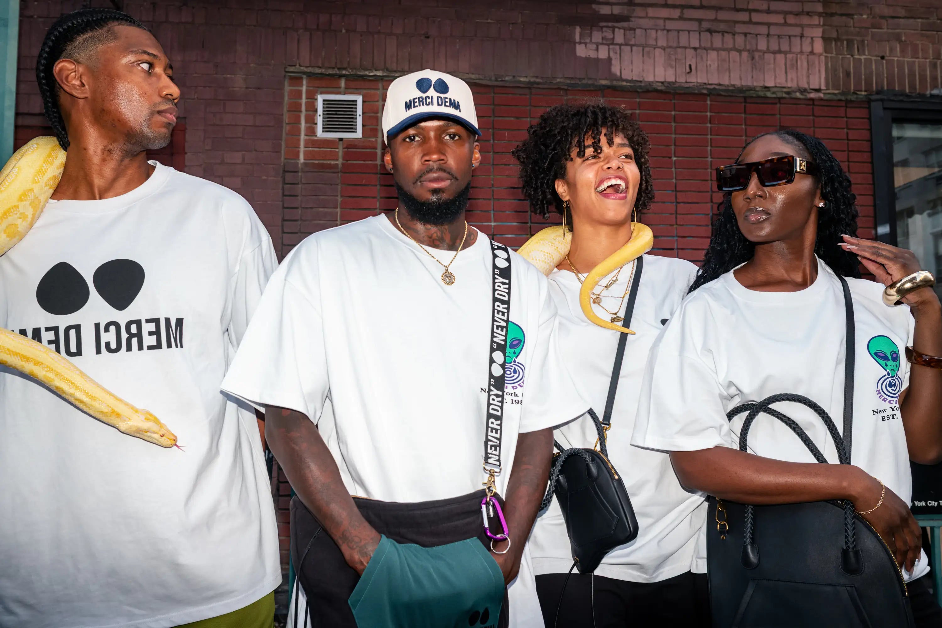 Introduction: Shop The Collection